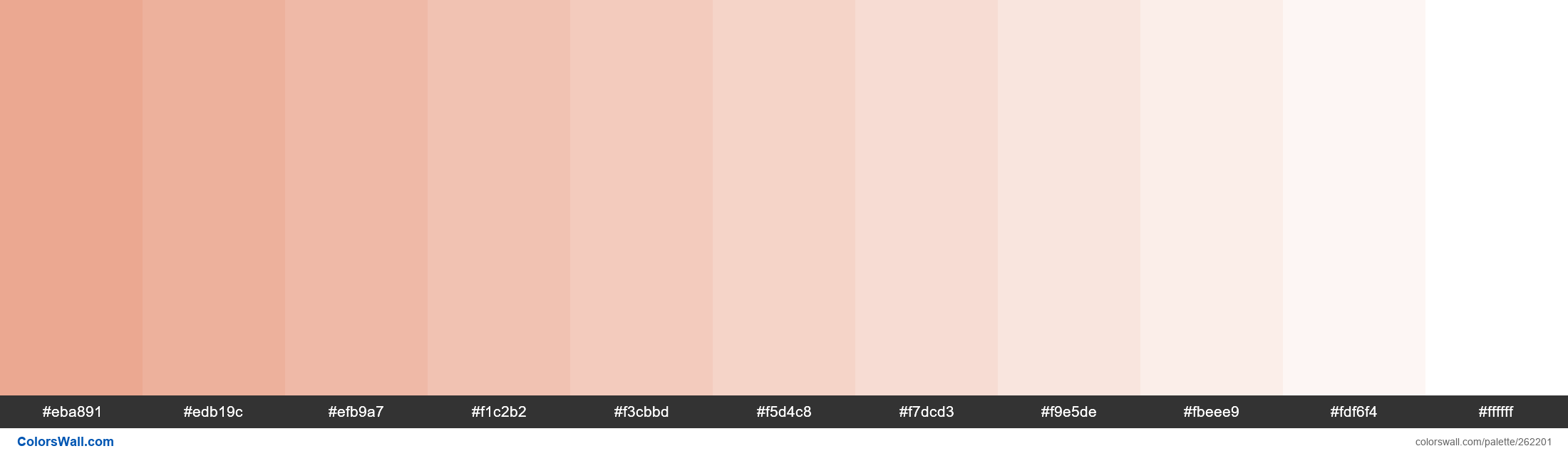 Ghost of Tangerine colors palette - ColorsWall