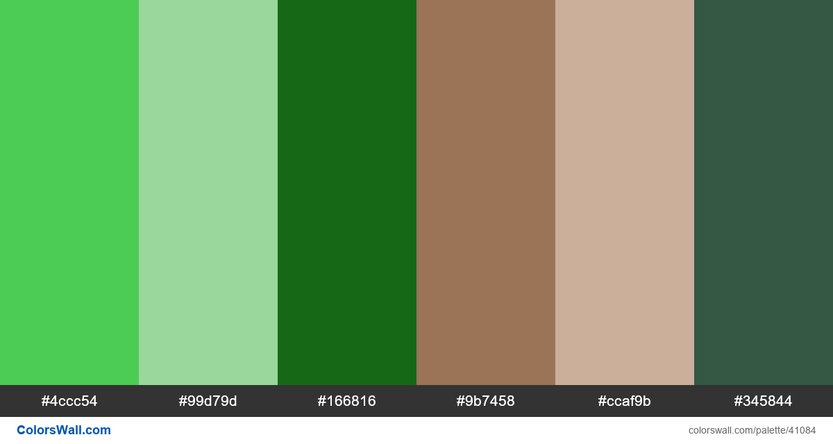 Golend ratio illustration visual identity minimal palette - #41084
