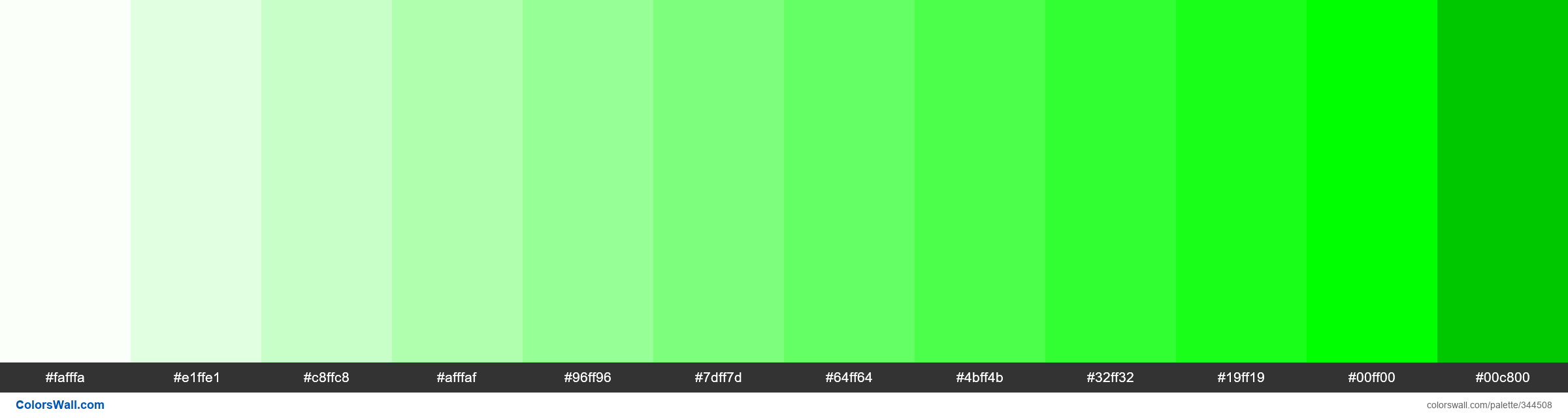 PNG image of green tones green tones - #344508