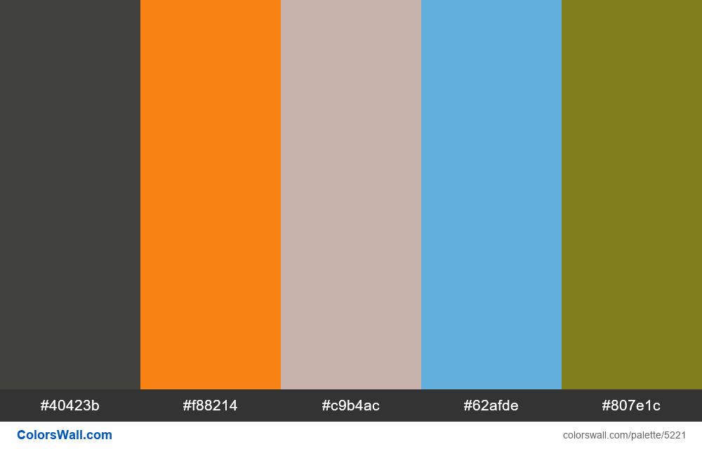 Illustration Podcast Poland Colors Palette Colorswall 