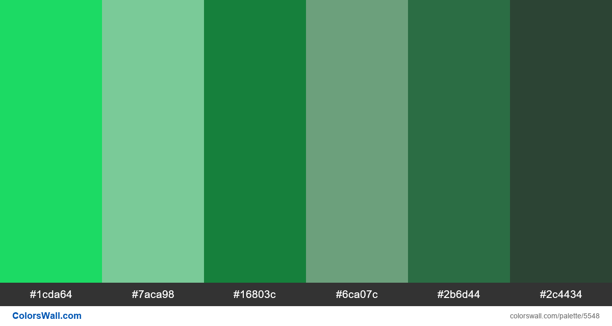 Landing page clean uidesign colors palette - #5548