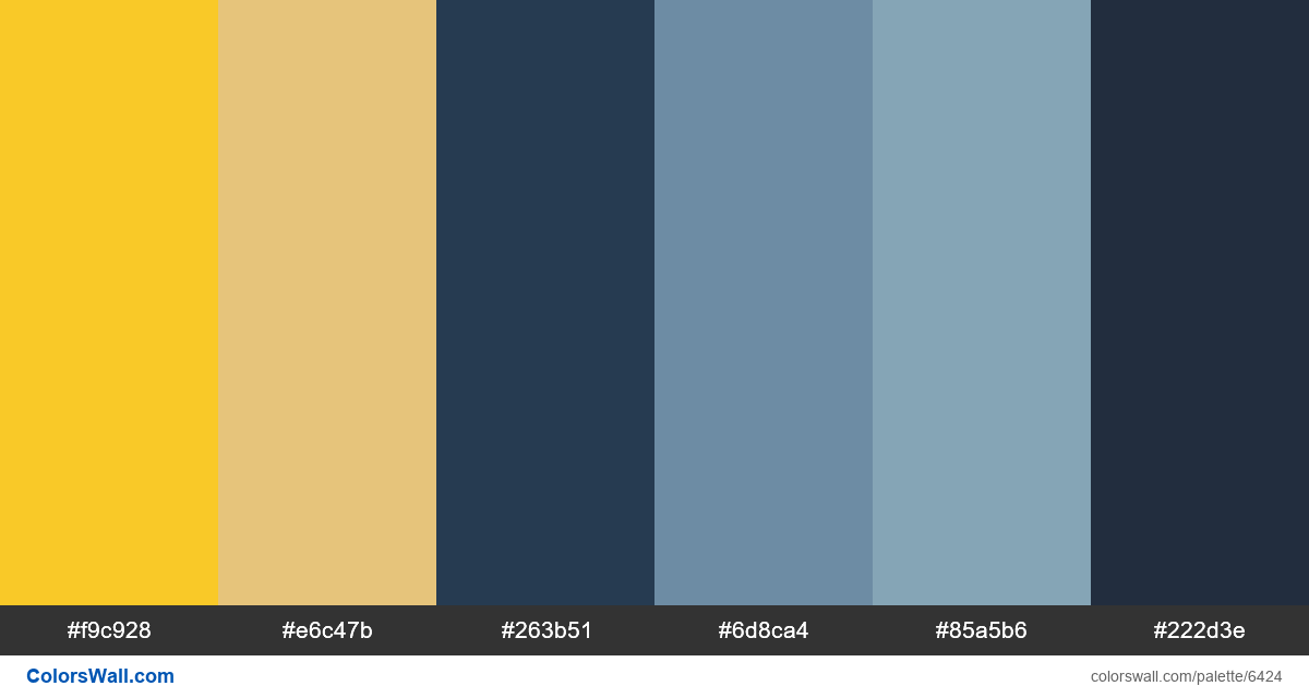 Minimal web landing page colors palette - #6424