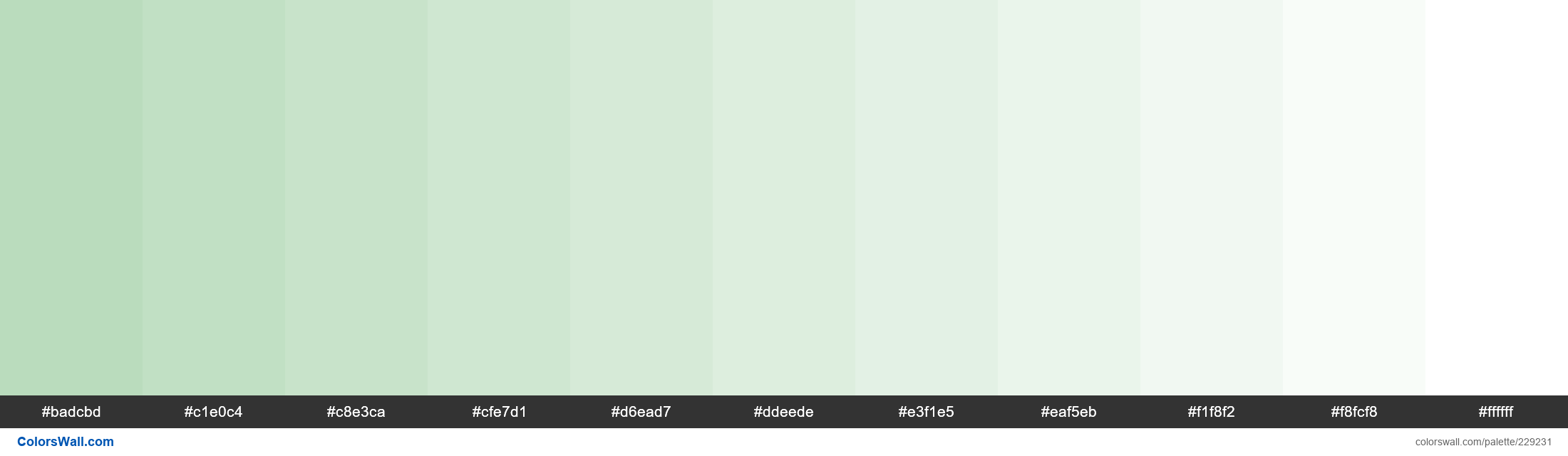 flydende mental mål Muted Light Green colors palette - ColorsWall
