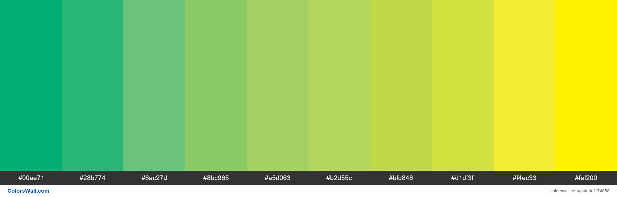 Opponent Colors Colors Palette ColorsWall