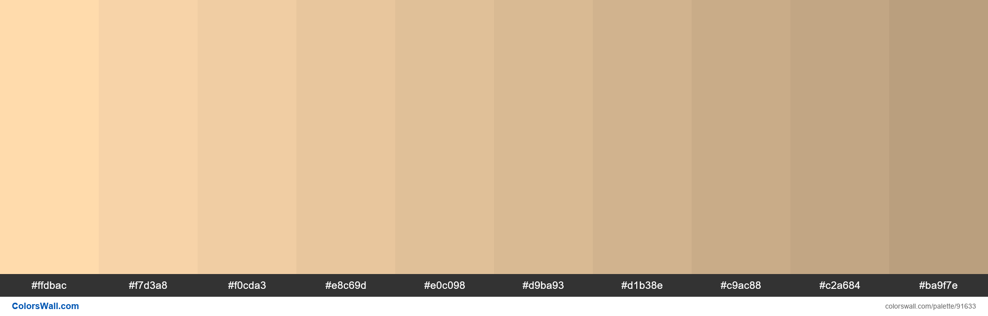 Beautiful Skin Tone Color Palettes [Hex Codes Included], 58% OFF