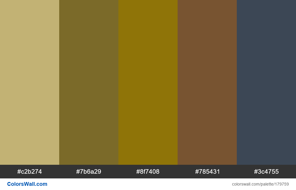 Picoutian Morden colors palette | ColorsWall