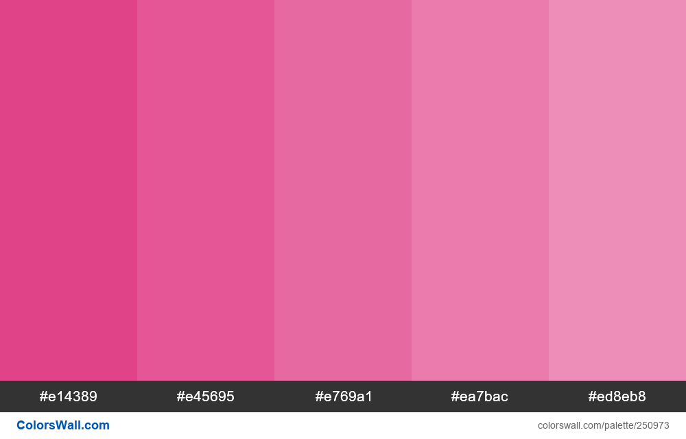 Pink Colors Palette #e14389, #e45695, #e769a1 - Colorswall