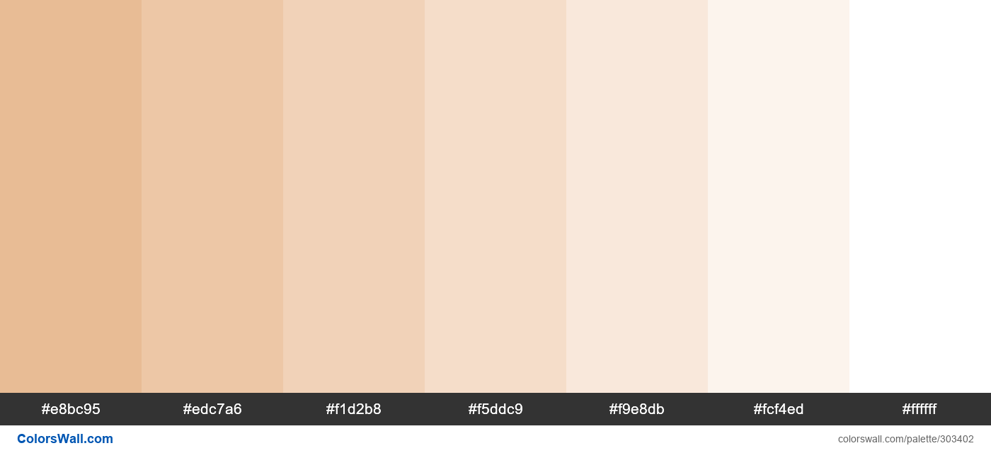 Queen Conch Shell colors palette - ColorsWall