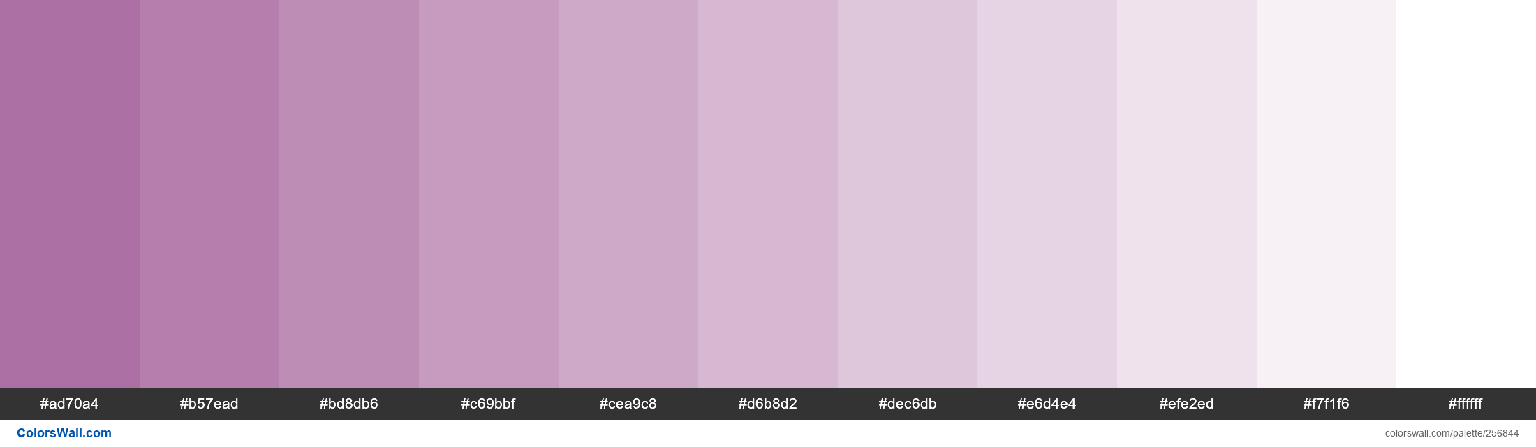 Rare Purple colors palette - ColorsWall