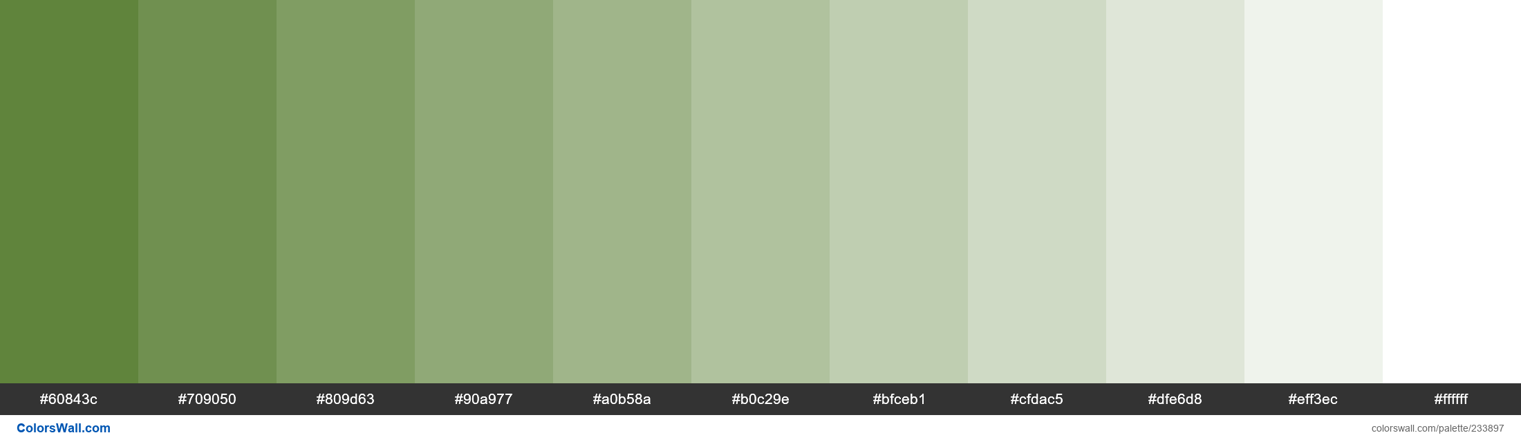 Salted Lime Colors Palette Colorswall 