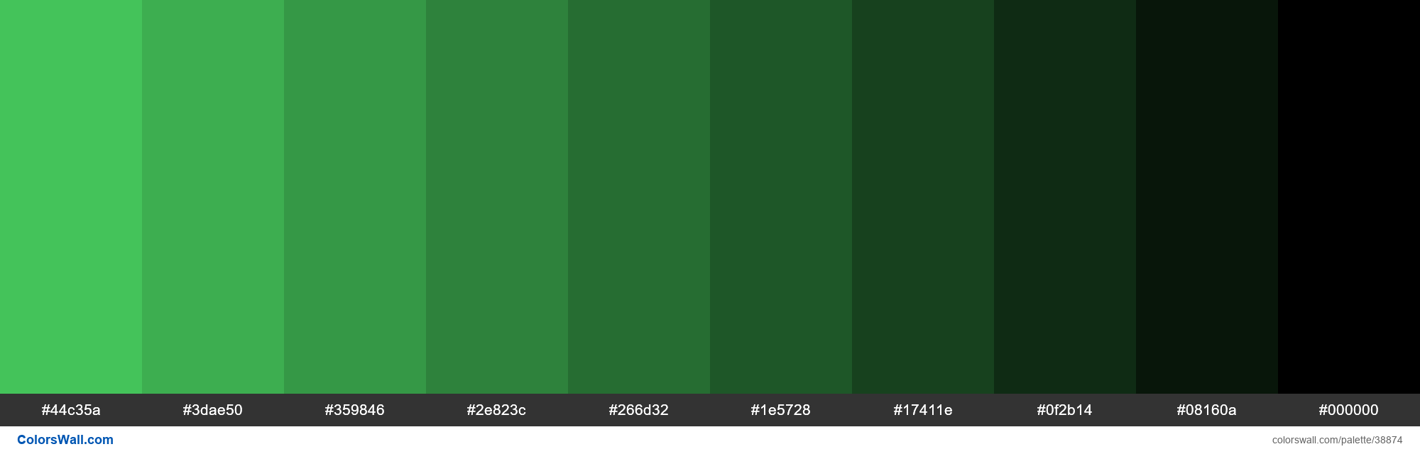 Shades Apple IOS Green 4CD964 Hex Colors Palette ColorsWall