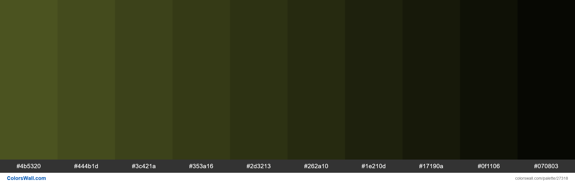 Shades Of Army Green Color 4b5320 Hex 27318 Colorswall 