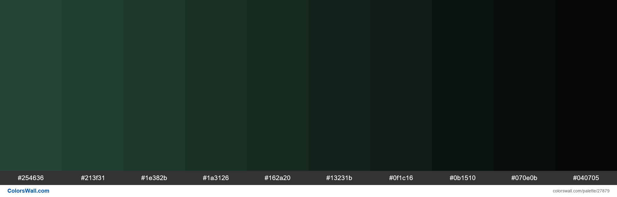Shades of Bottle Green color #254636 hex - ColorsWall