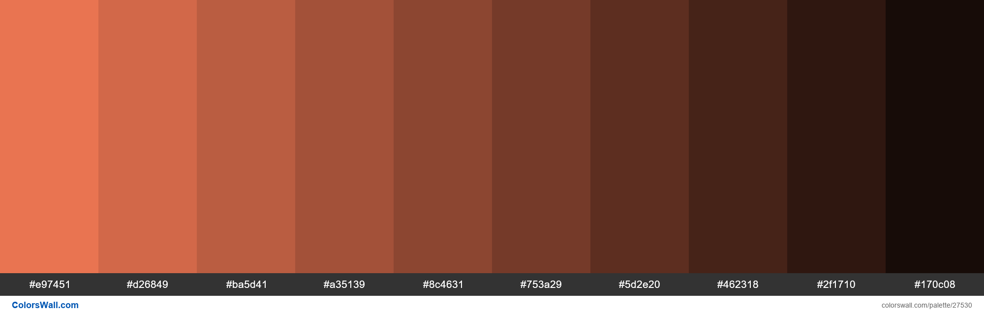 Shades Of Burnt Sienna Color E97451 Hex Colorswall