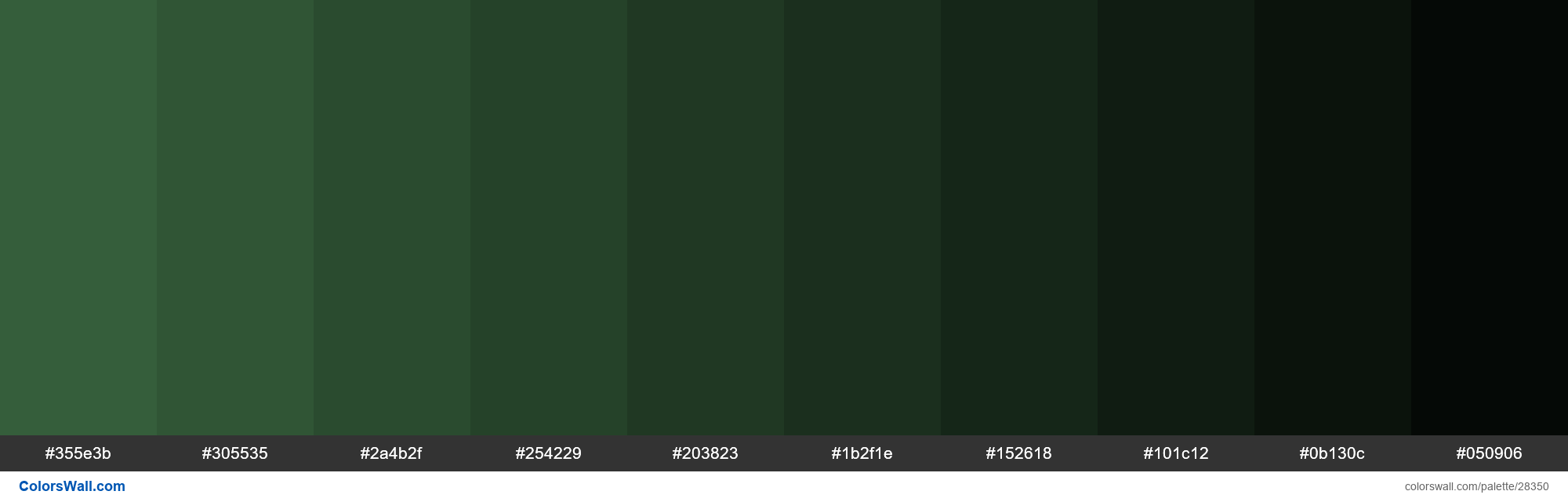 Shades of Hunter Green color #355E3B hex | ColorsWall