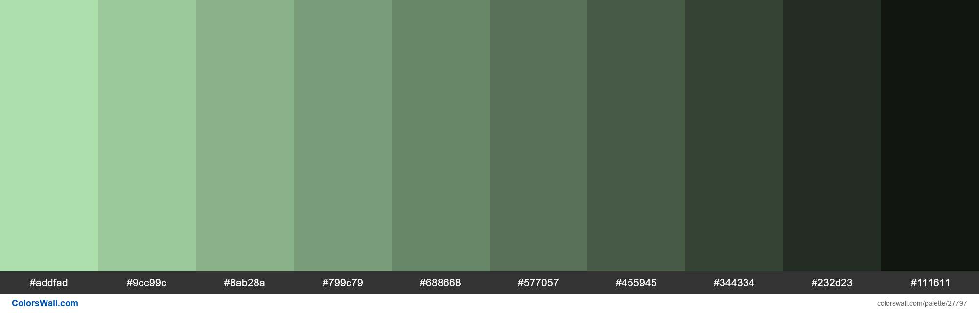 About Moss Green - Color codes, similar colors and paints