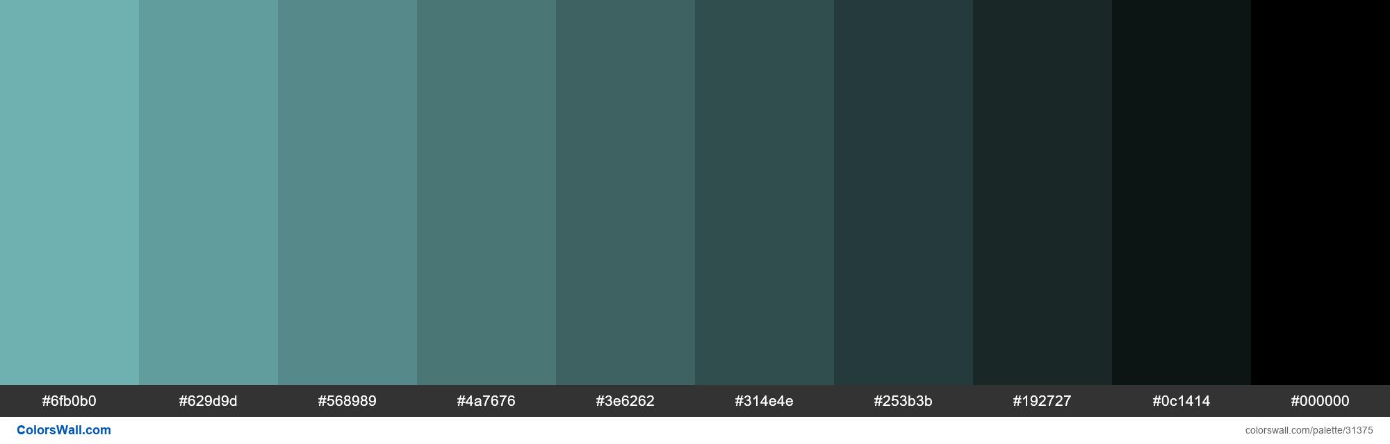 https://colorswall.com/images/palettes/shades-of-pantone-14-4811-2003-aqua-sky-color-7bc4c4-hex-31375-colorswall.png