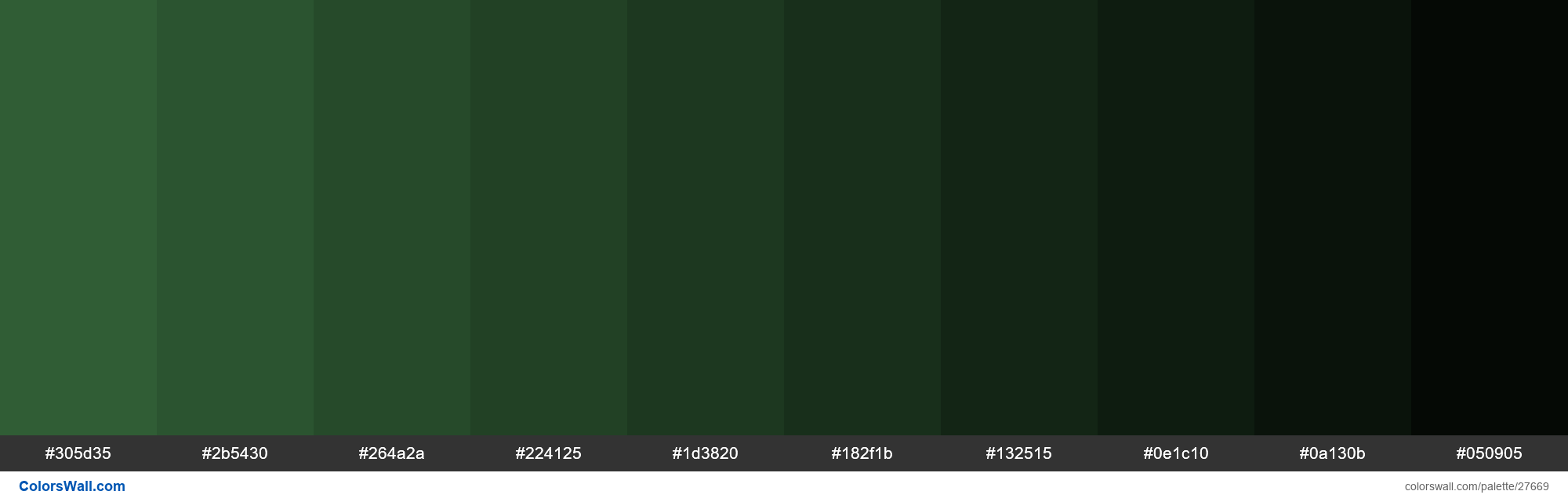 Shades of Parsley color #305D35 hex - ColorsWall