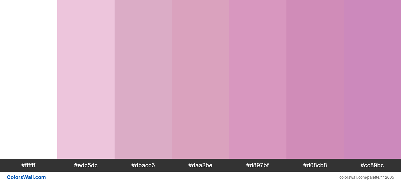 Shades of Rose colors palette | ColorsWall