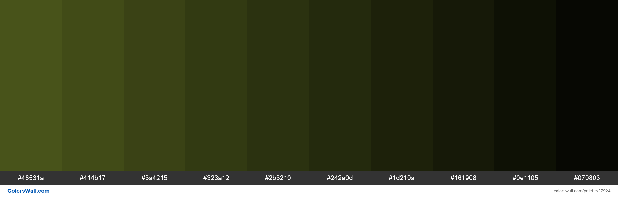 Shades of Medium Spring Green #00FA9A hex color - ColorsWall