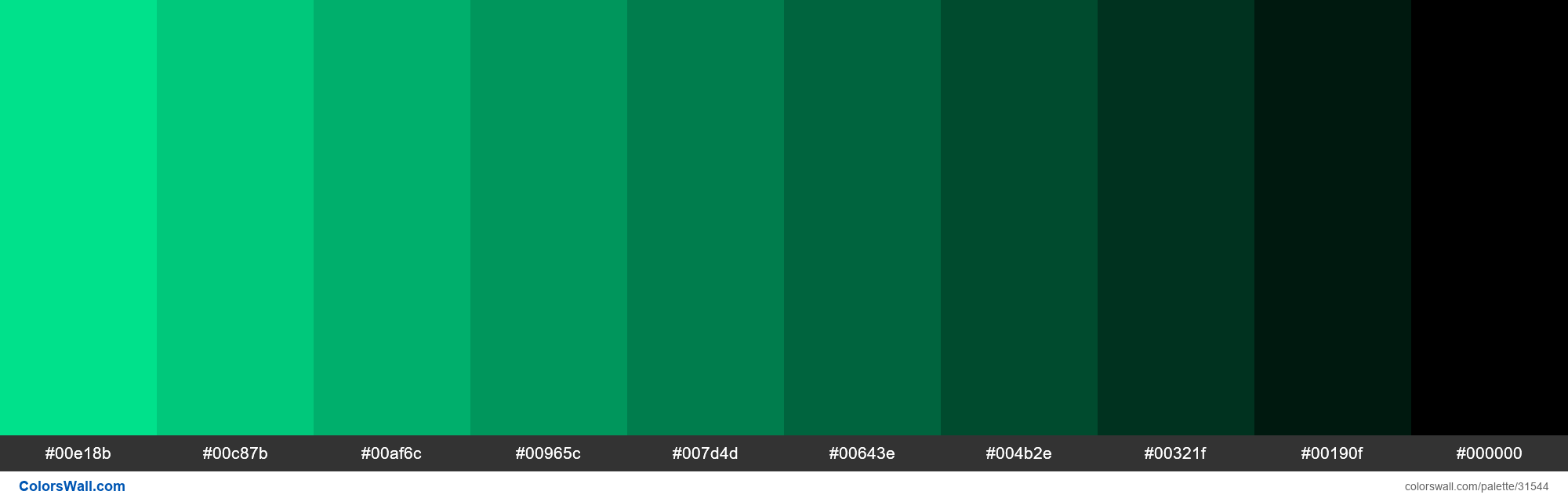 shades-x11-color-medium-spring-green-00fa9a-hex-colorswall