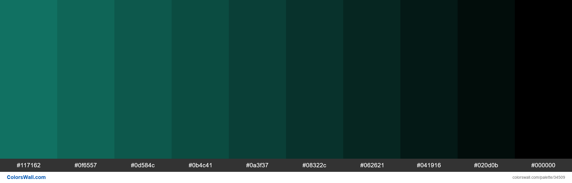 colorswall on X: Shades XKCD Color dark forest green #002d04 hex
