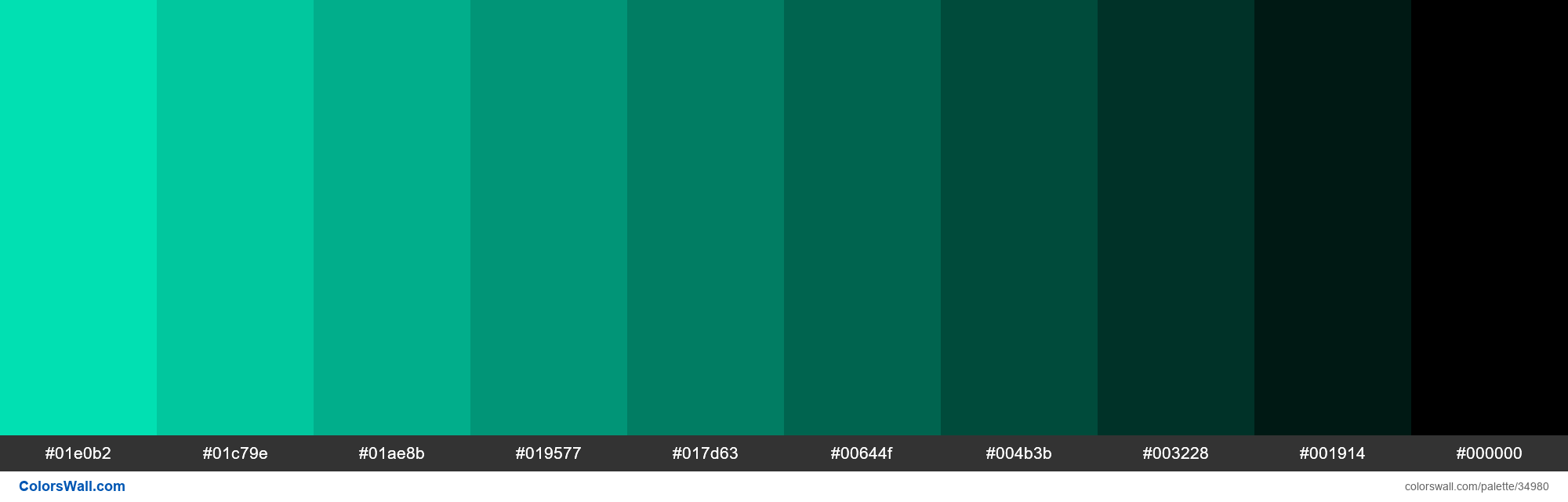 colorswall on X: Shades XKCD Color neon green #0cff0c hex #0be60b,  #0acc0a, #08b308, #079907, #068006, #056605, #044d04, #023302, #011901,  #000000 #colors #palette   /  X