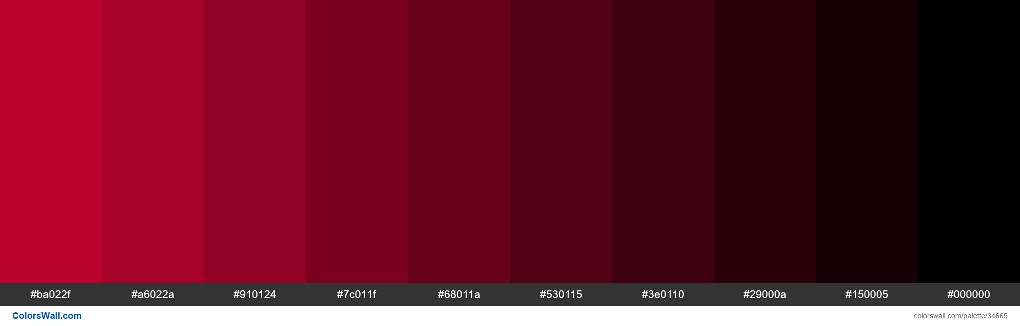 Shades XKCD Color cherry #cf0234 hex colors palette - ColorsWall