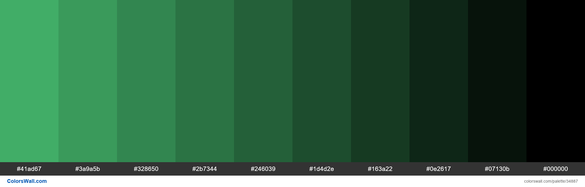 Shades Xkcd Color Dark Mint 48c072 Hex 34887 Colorswall 