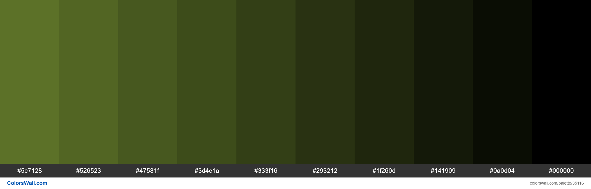 Shades XKCD Color dirty green #667e2c hex colors palette - ColorsWall