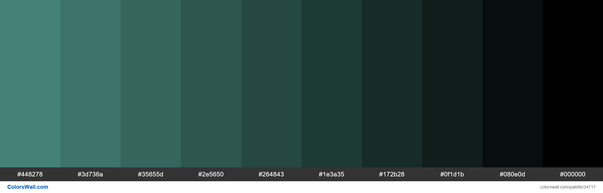 https://colorswall.com/images/palettes/shades-xkcd-color-dusty-teal-4c9085-hex-34717-colorswall.png