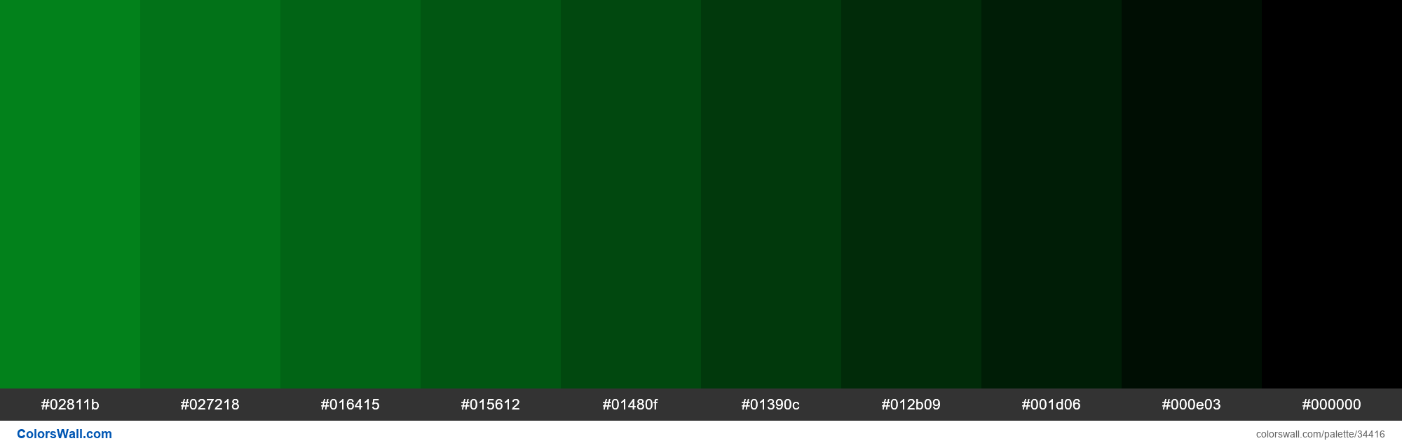 Shades Xkcd Color Emerald Green 028f1e Hex Hex Rgb Codes