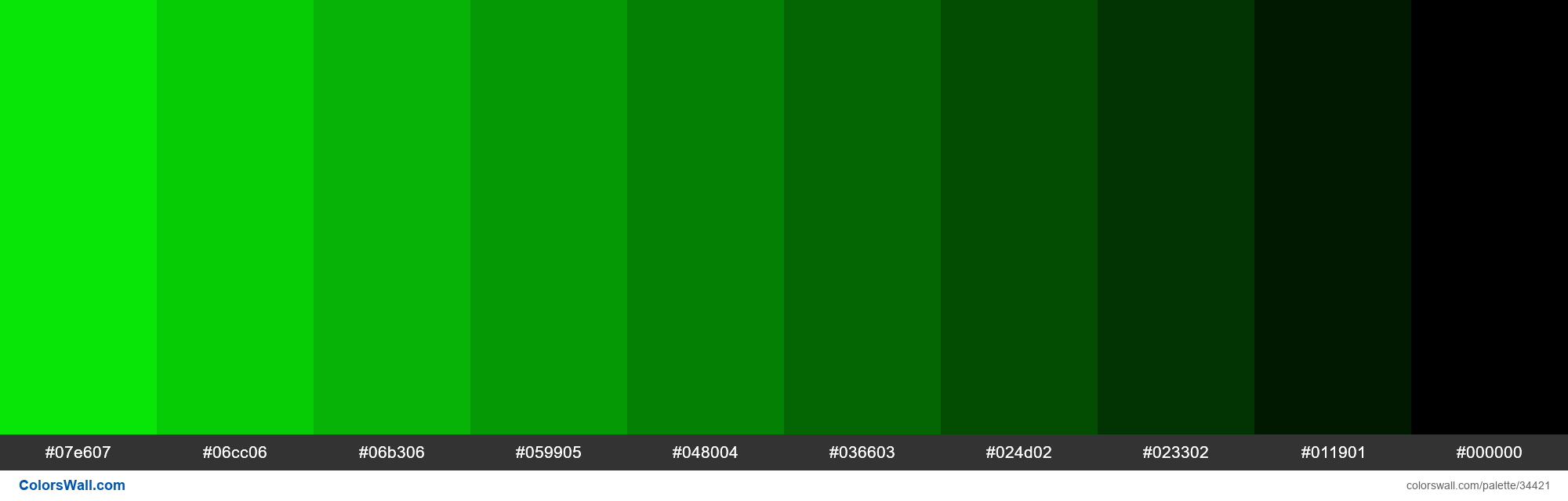 Shades XKCD Color fluorescent green #08ff08 hex palette de