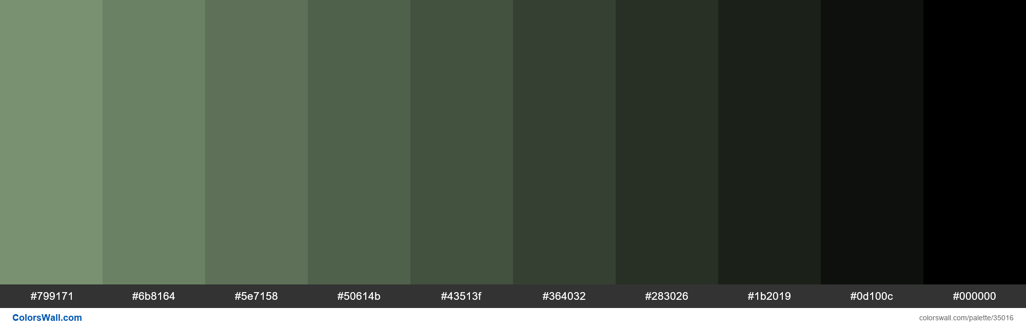 Shades XKCD Color grey/green #86a17d hex colors palette - ColorsWall