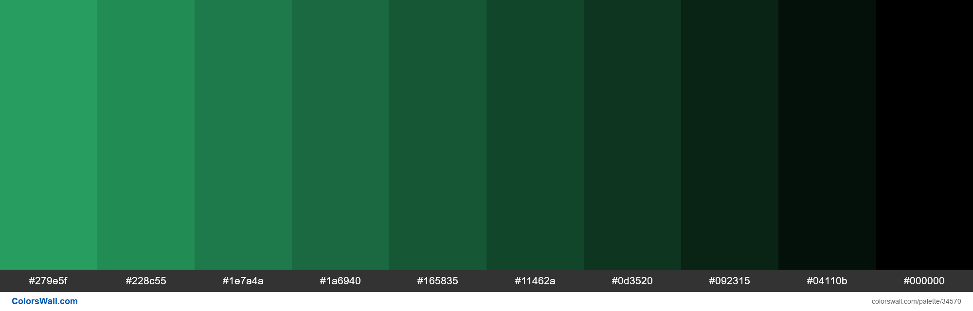 Shades XKCD Color jade green #2baf6a hex colors palette - ColorsWall