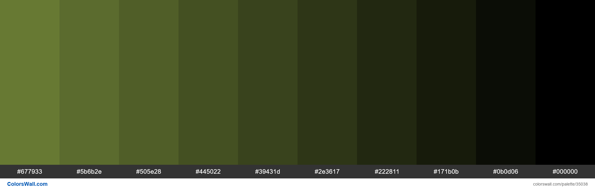 Shades XKCD Color khaki green #728639 hex colors palette - ColorsWall