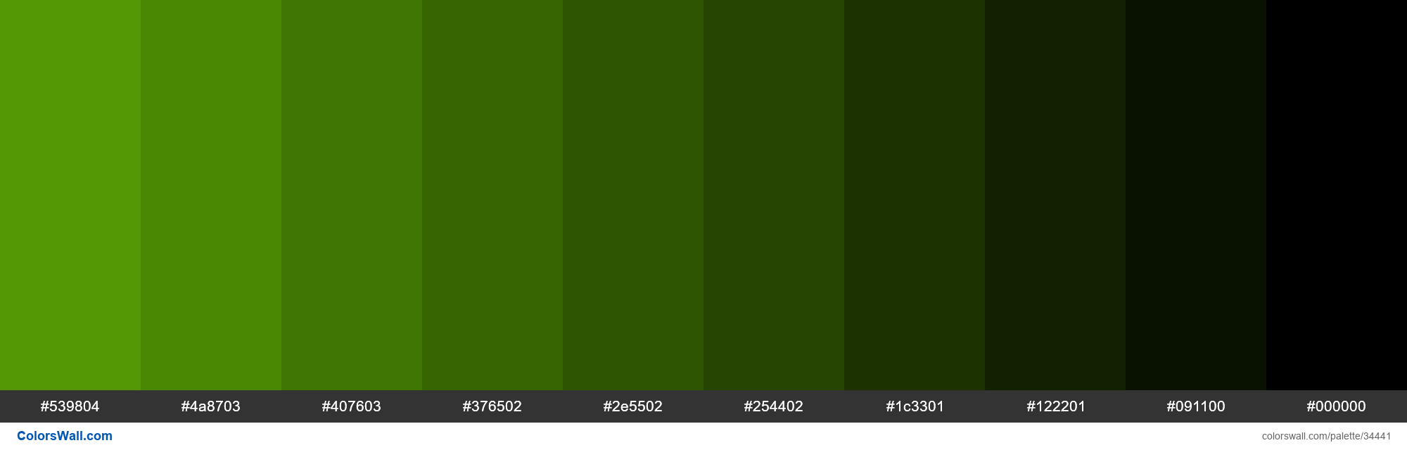 https://colorswall.com/images/palettes/shades-xkcd-color-leaf-green-5ca904-hex-34441-colorswall.png
