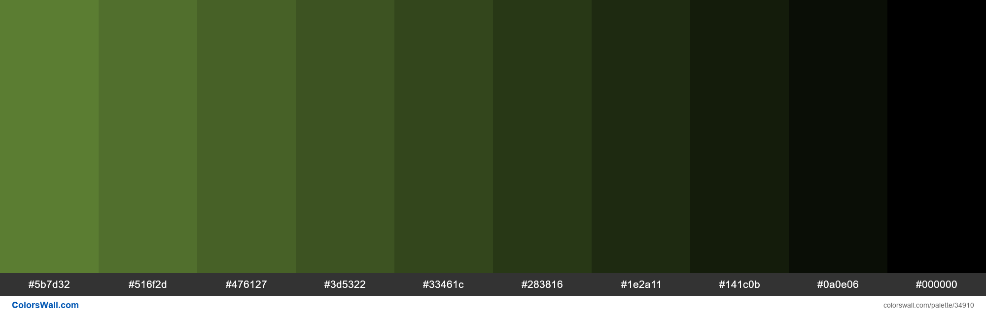 Moss green Color Palette