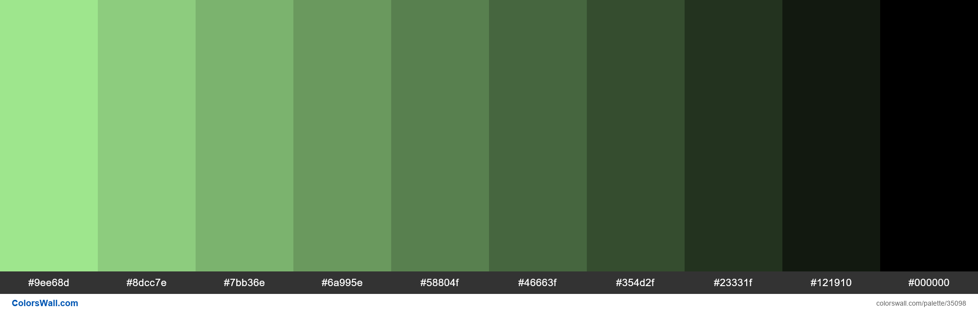 shades-xkcd-color-pastel-green-b0ff9d-hex-colors-palette-colorswall