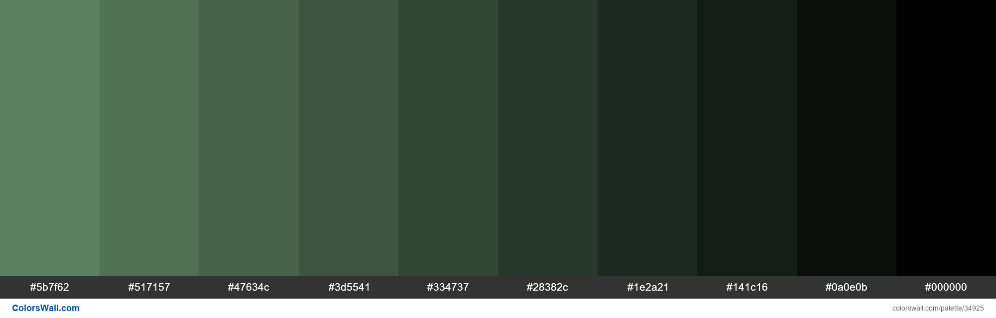 Shades XKCD Color slate green #658d6d hex Farbpalette | ColorsWall