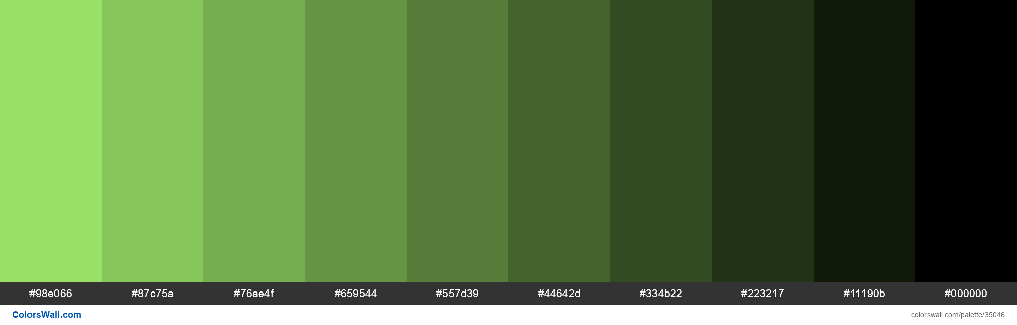 Spring Green Color Codes - The Hex, RGB and CMYK Values That You Need