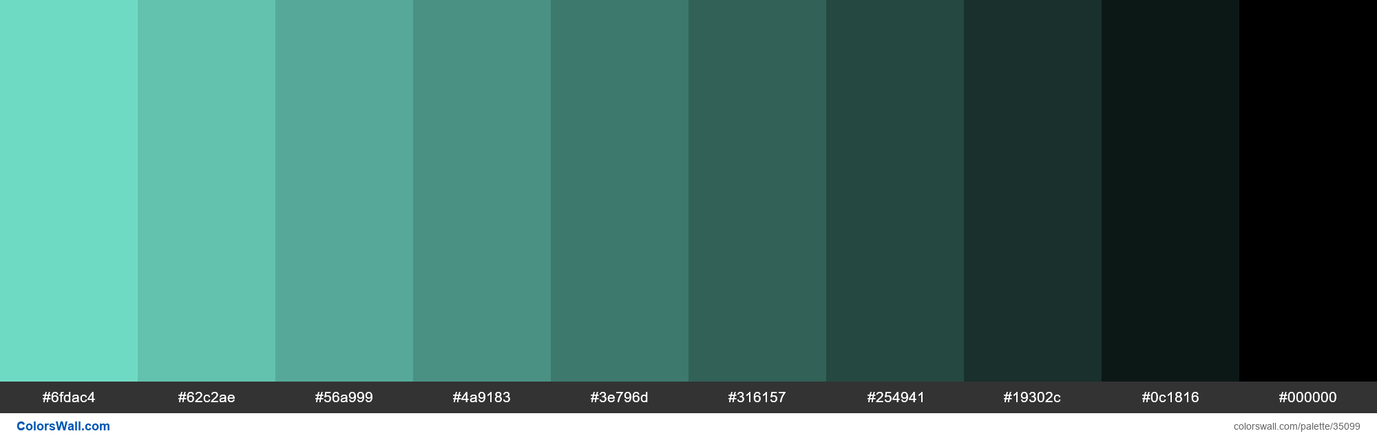 Shades XKCD Color tiffany blue #7bf2da hex colors palette - ColorsWall