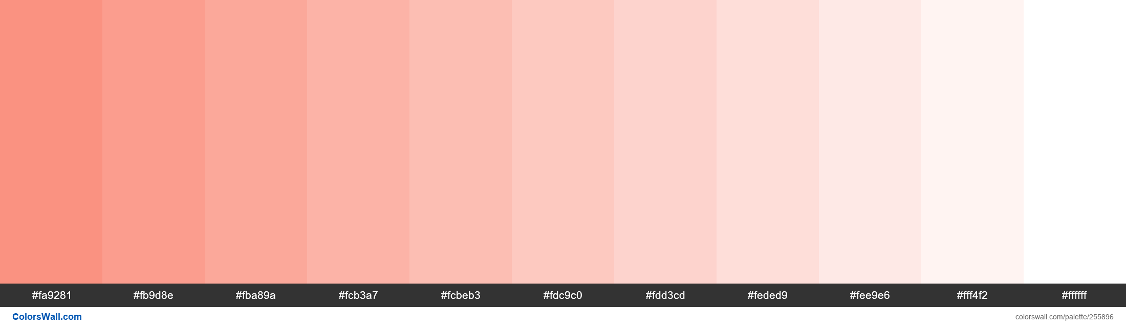 Sherbet Orange colors palette - ColorsWall