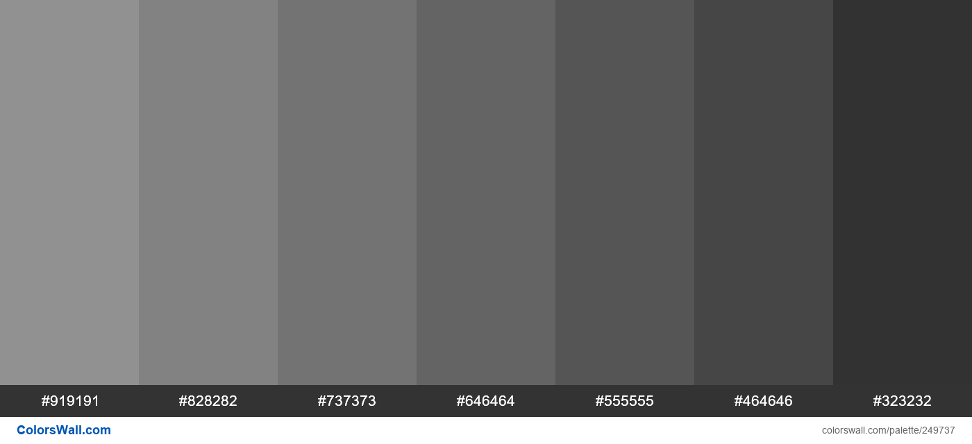 Silver colors palette #919191, #828282, #737373 - ColorsWall