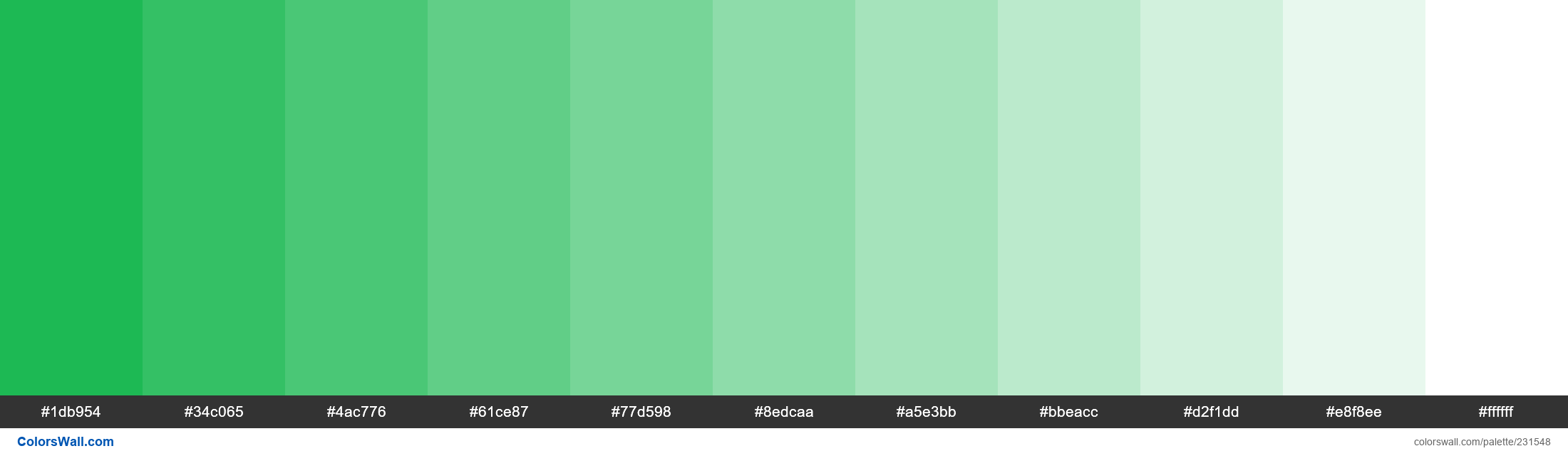 Spotify Green Colors Palette ColorsWall