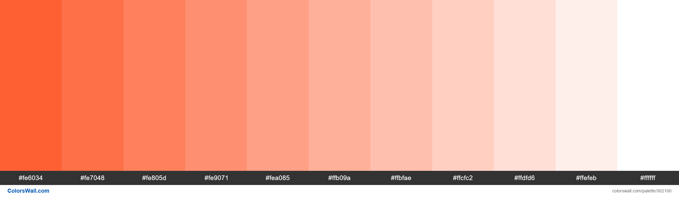 Tangerine Tuesday colors palette - ColorsWall