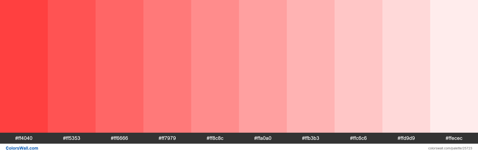 Tints Of Coral Red Color Ff4040 Hex Colorswall