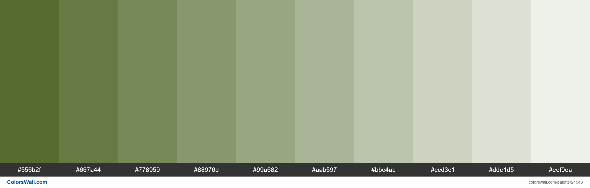 Tints of Dark Olive Green #556B2F hex color - ColorsWall