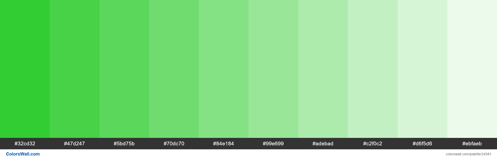 Tints Of Lime Green 32cd32 Hex Color 24581 Colorswall 