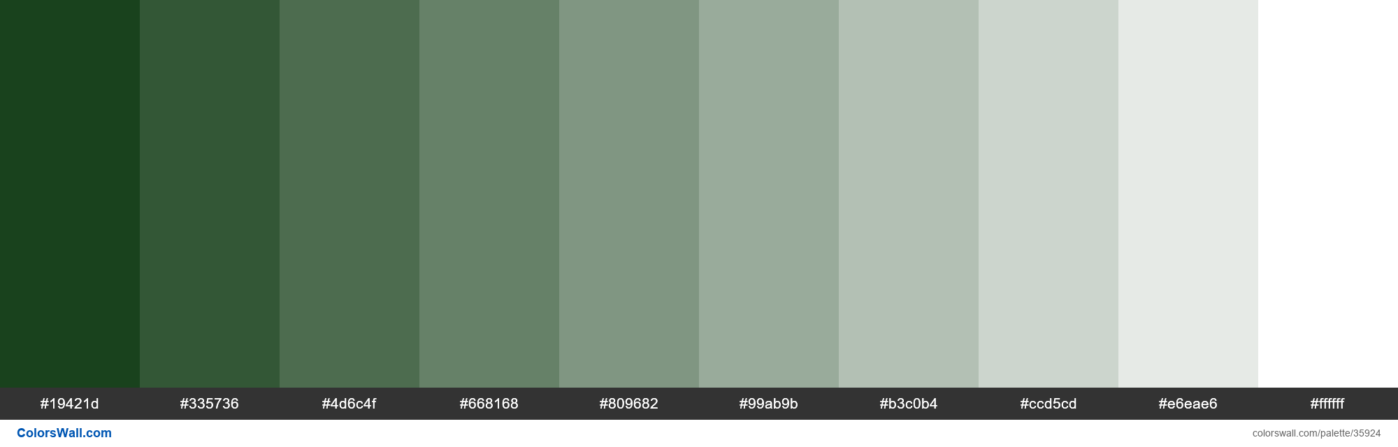 Tints Xkcd Color Dark Forest Green 002d04 Hex Colors Palette Colorswall